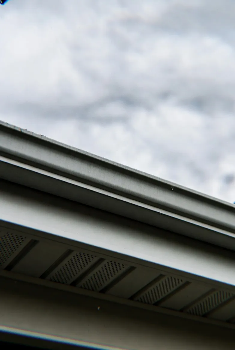 Gutter exterior cleaned by soft wash
